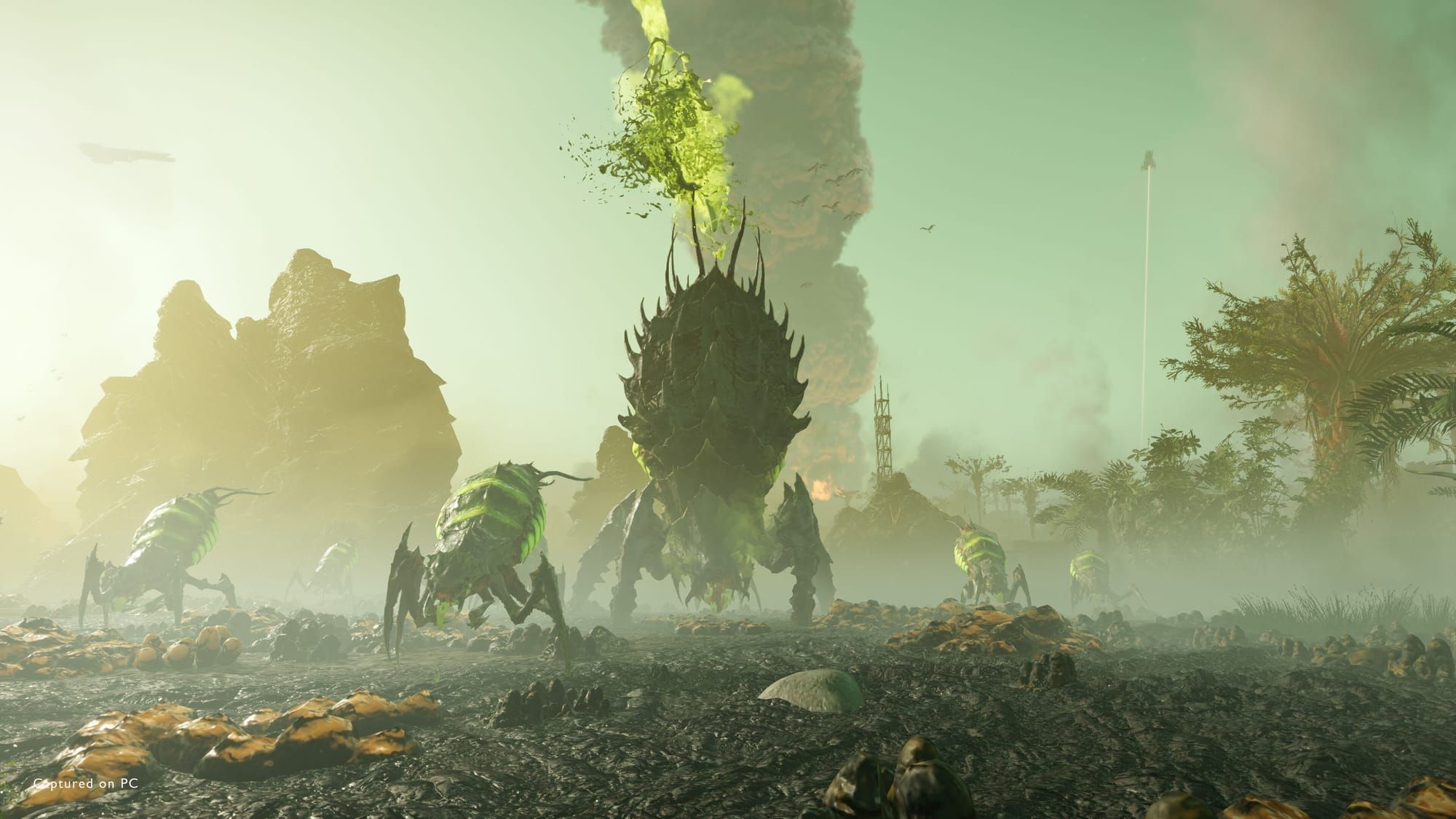 Bosses and Helldivers 2