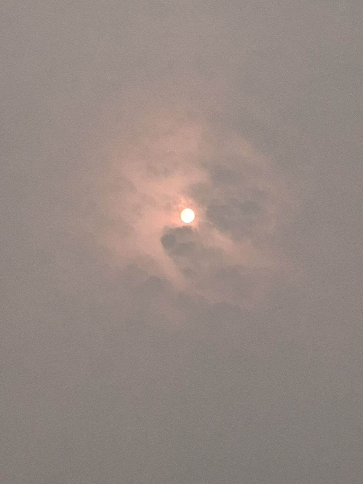 In a Haze