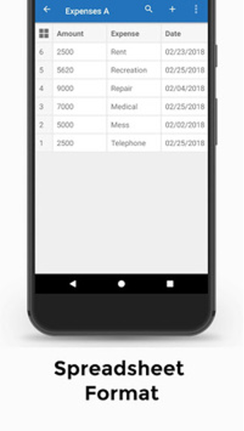 spreadsheet format