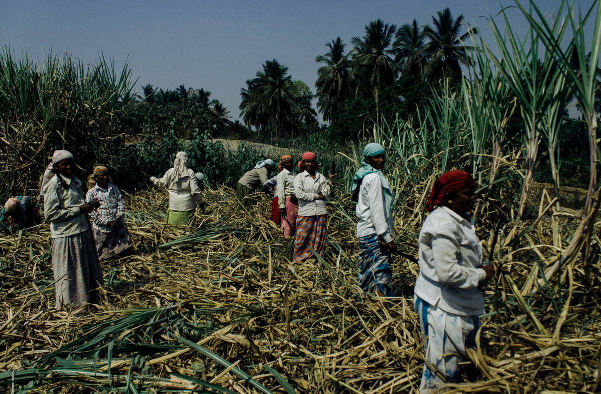 How forced labour indicator checklists can mask the structural drivers of exploitation