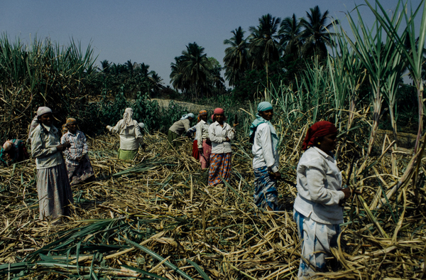 How forced labour indicator checklists can mask the structural drivers of exploitation