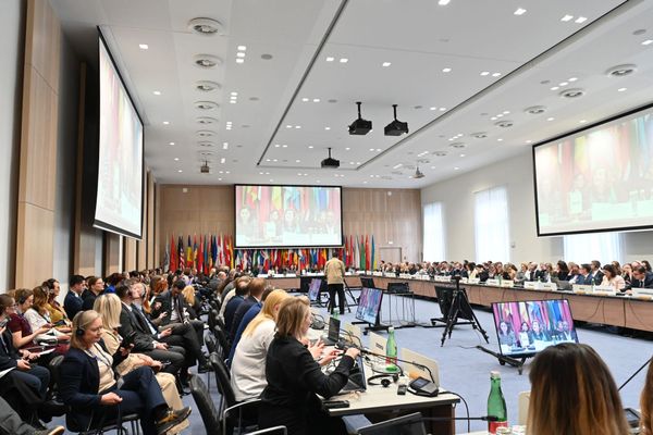 CSOs describe authorities’ multiple failures to uphold the non-punishment principle