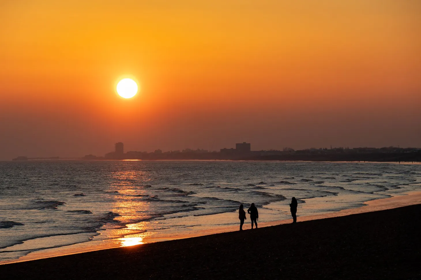 Weekend Nature Digest #3