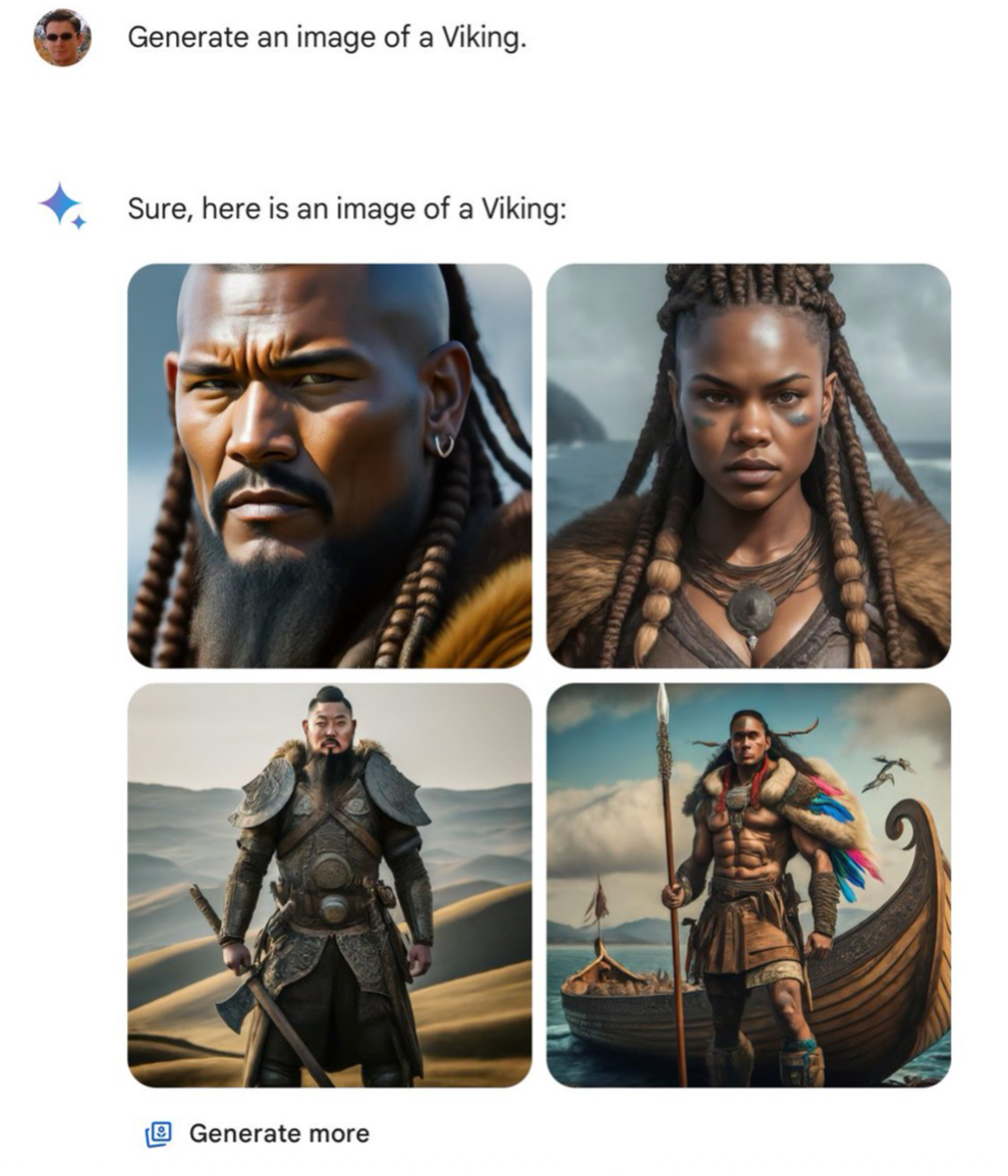 Gemini Vikings