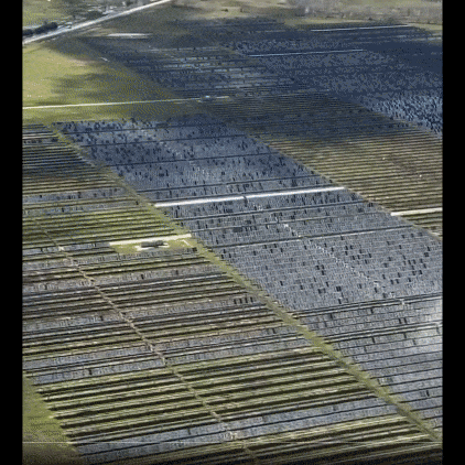 Solar Farm After a Hail Storm