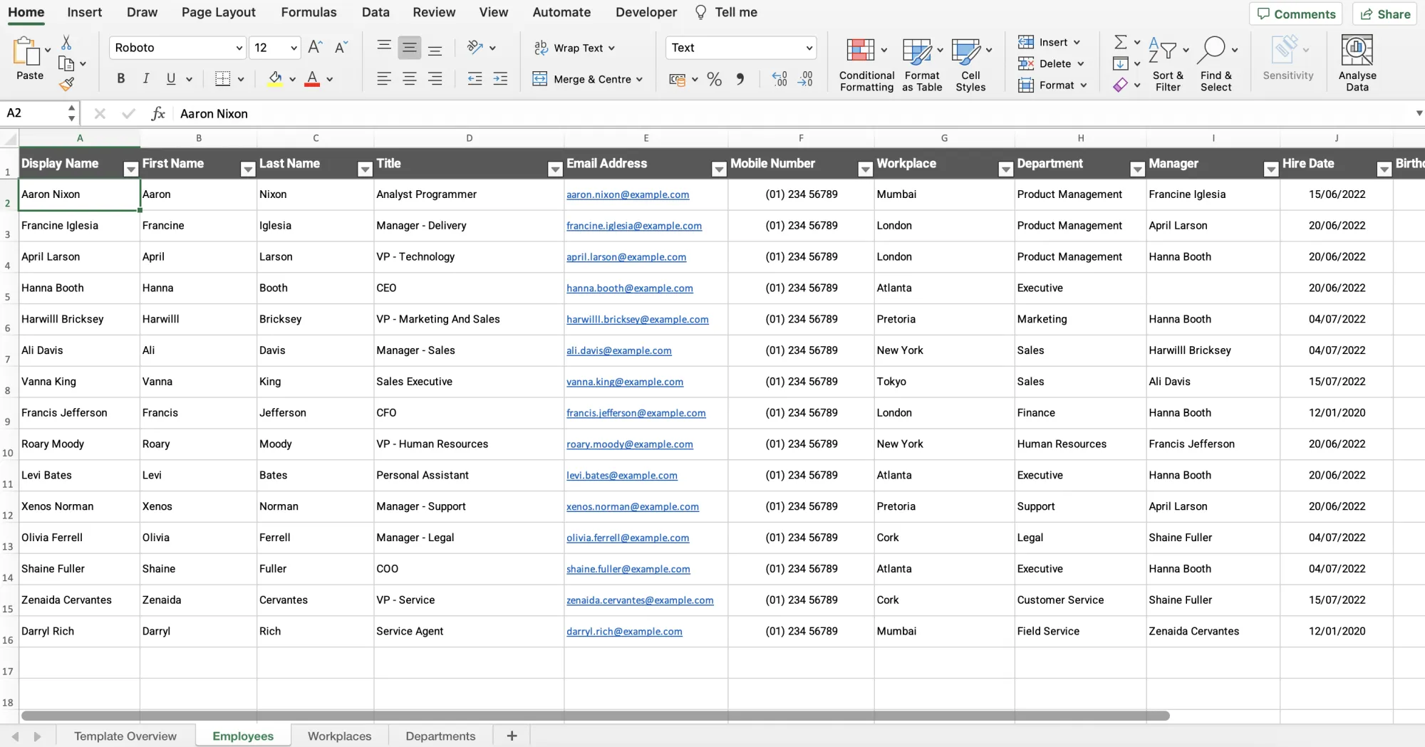 Completed Excel employee-directory template showing columns for name, title, email and manager