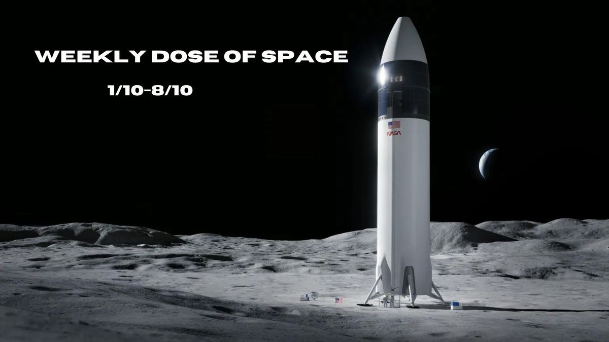 Starship Human Landing System on the Lunar surface render.