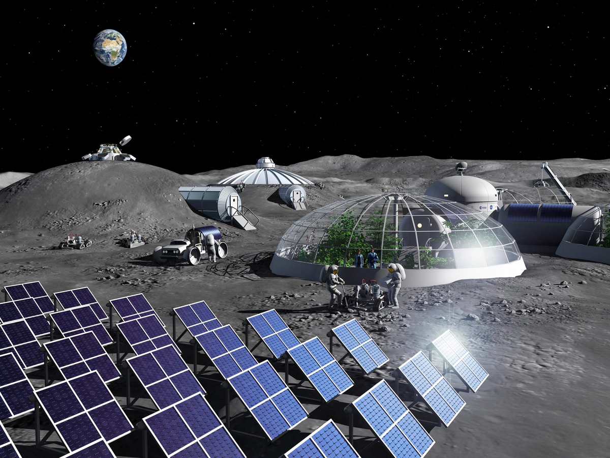 Plants on the moon