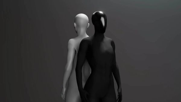 The Humanoid Robot Race and What it Means for Humanity