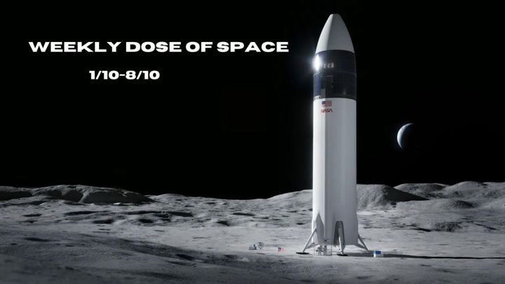 Starship Human Landing System on the Lunar surface render.