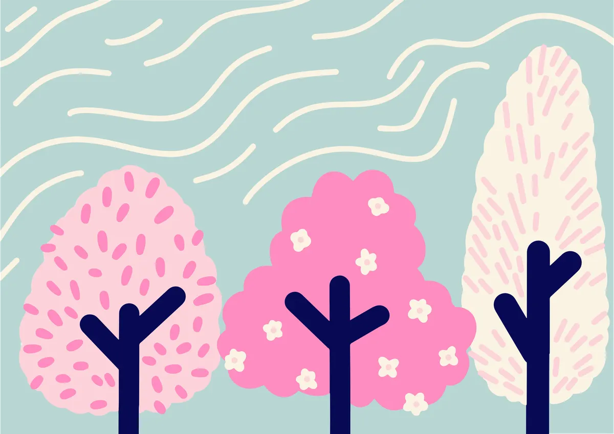 The willow tree that taught me everything