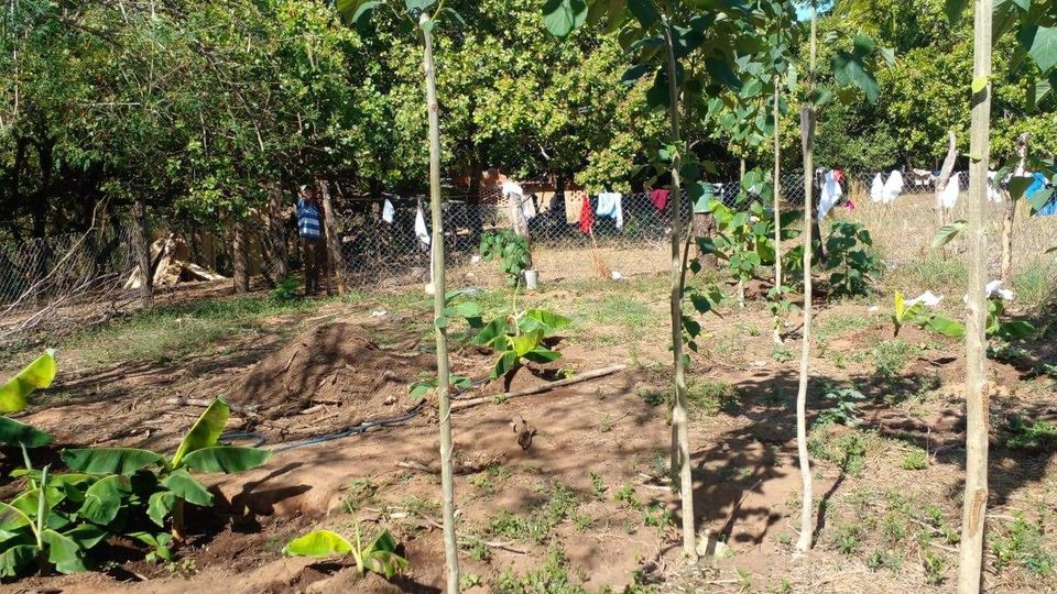 Création de 21 jardins familiaux avec El Bloque