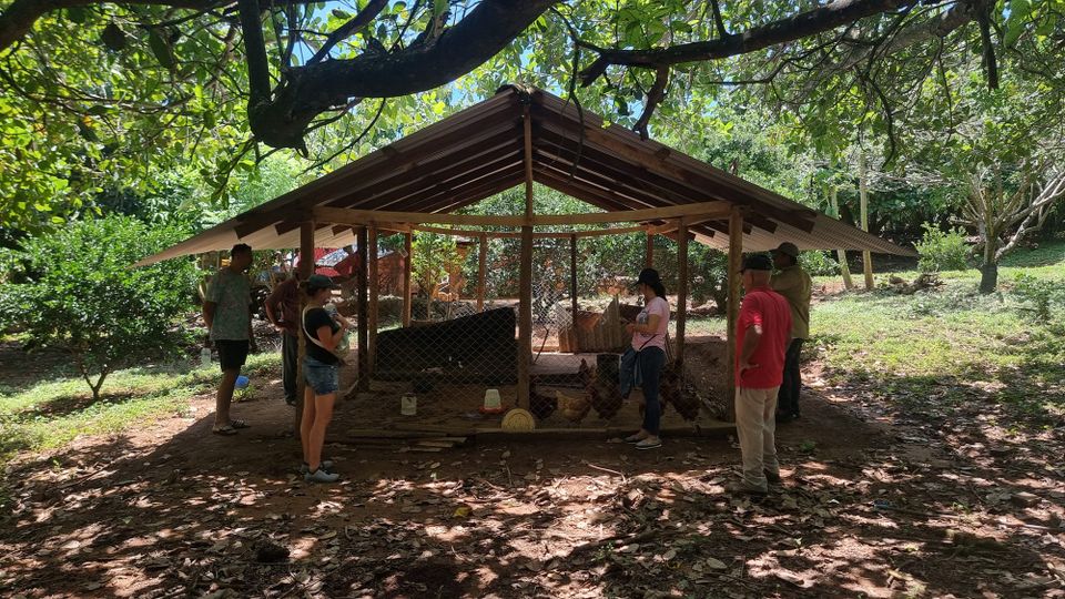 Construction de 5 poulaillers avec El Bloque