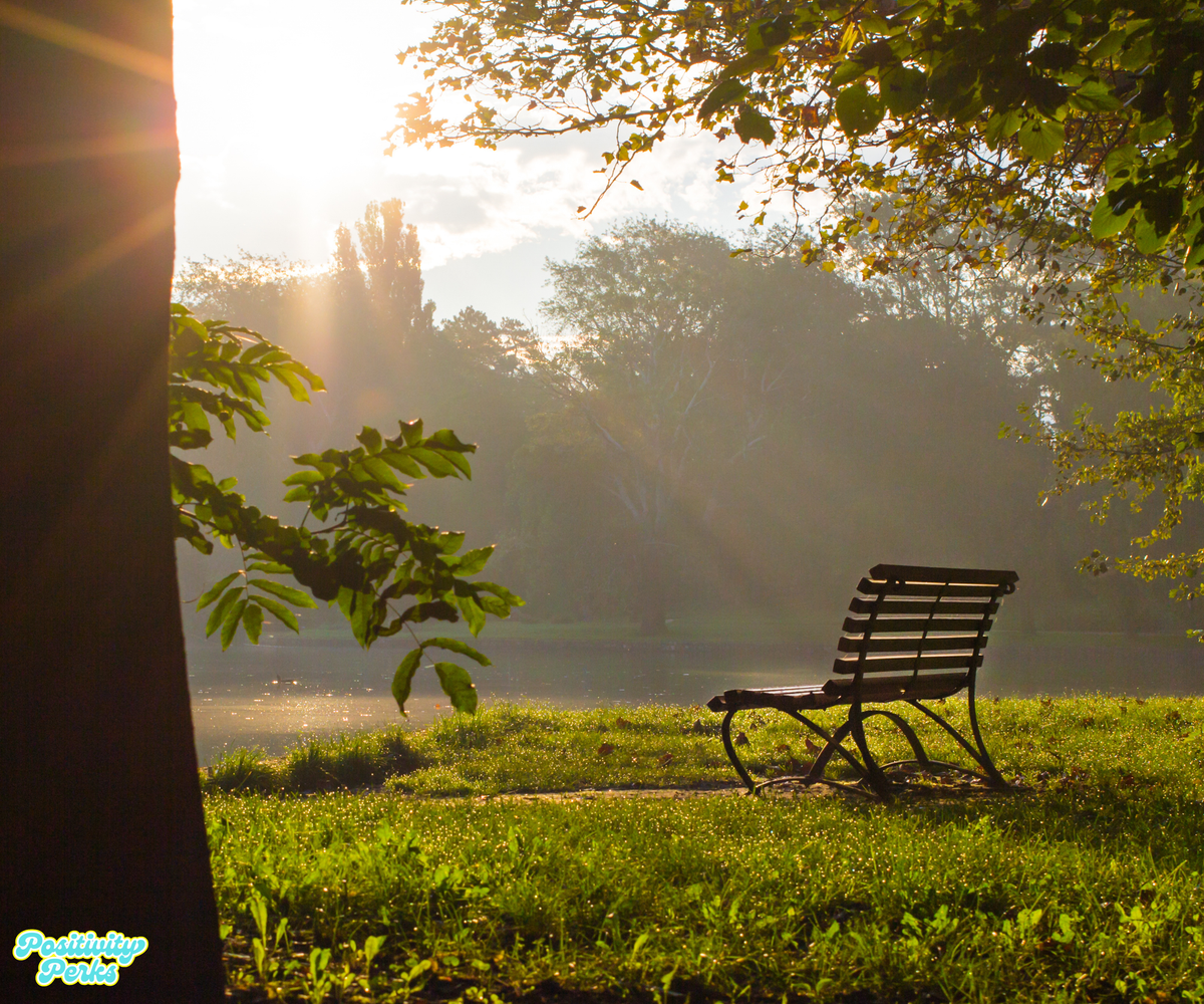 Solitude for Positivity - Part 4 The Quiet Work That Changes Everything.
