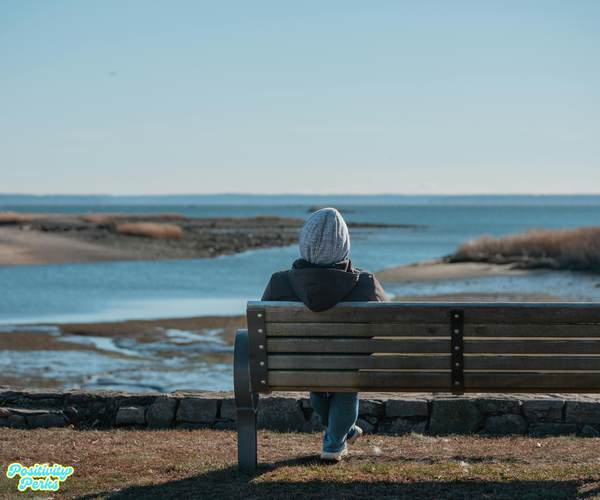 Solitude for Positivity - Part 2 Solitude Interrupts The Noise Long Enough For Truth to Speak.