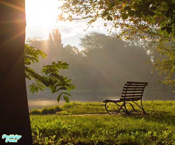 Solitude for Positivity - Part 4 The Quiet Work That Changes Everything.