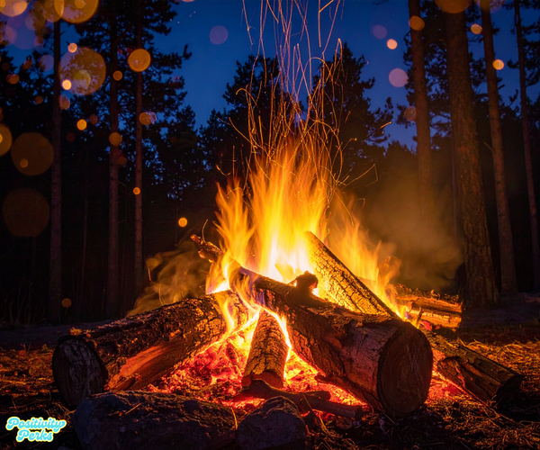 Stop Mistaking the Fire for the Warmth!