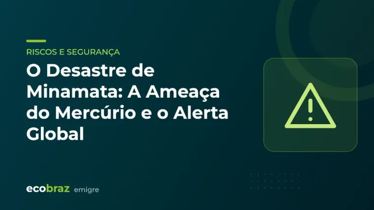 Capa ilustrada: O Desastre de Minamata: A Ameaça do Mercúrio e o Alerta Global