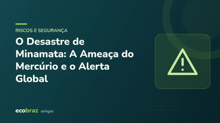 Capa ilustrada: O Desastre de Minamata: A Ameaça do Mercúrio e o Alerta Global