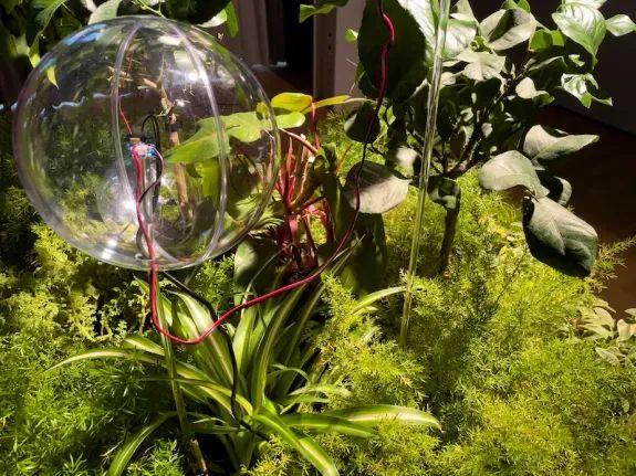 The Plant Intelligence Plan