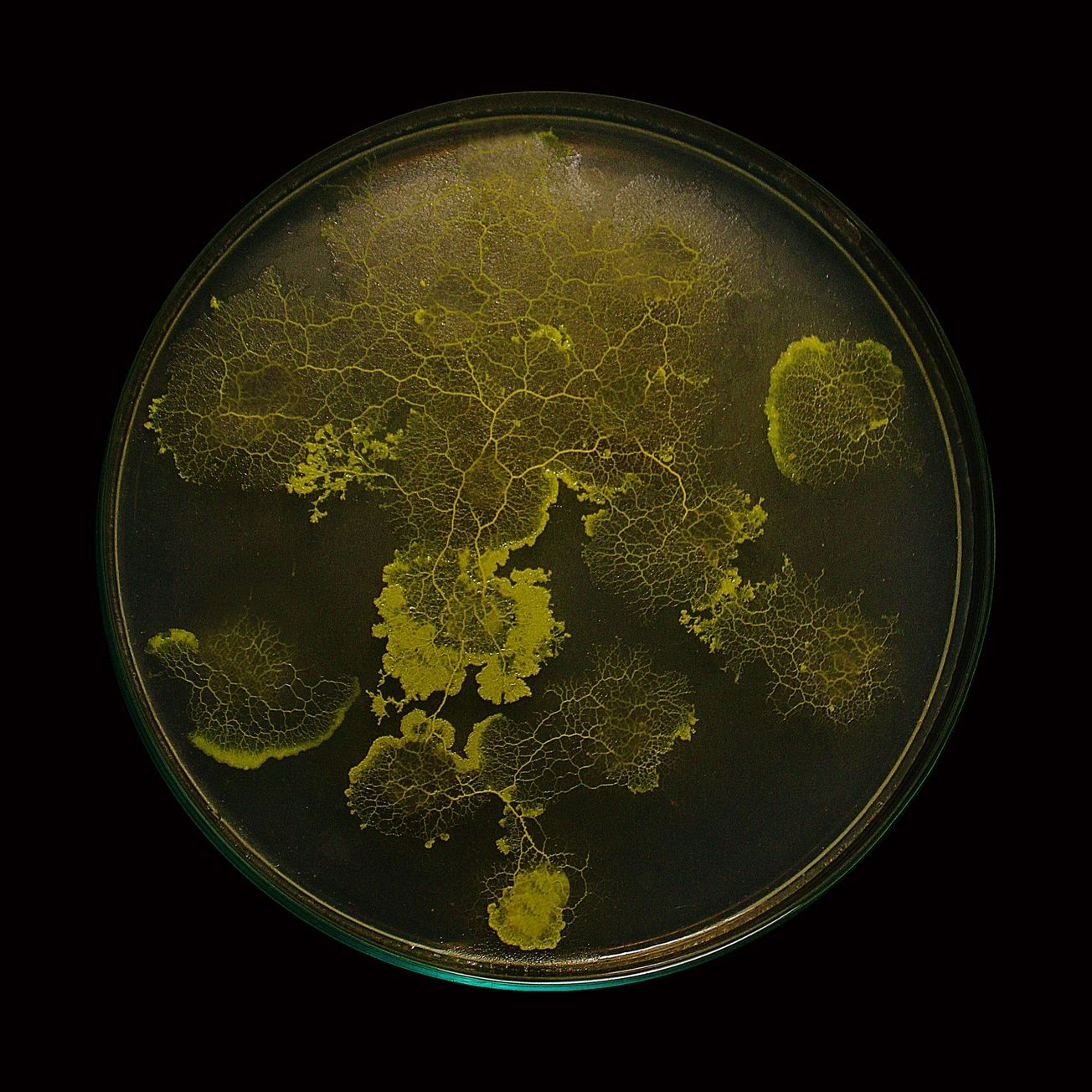 World of Networks, Centre Pompidou