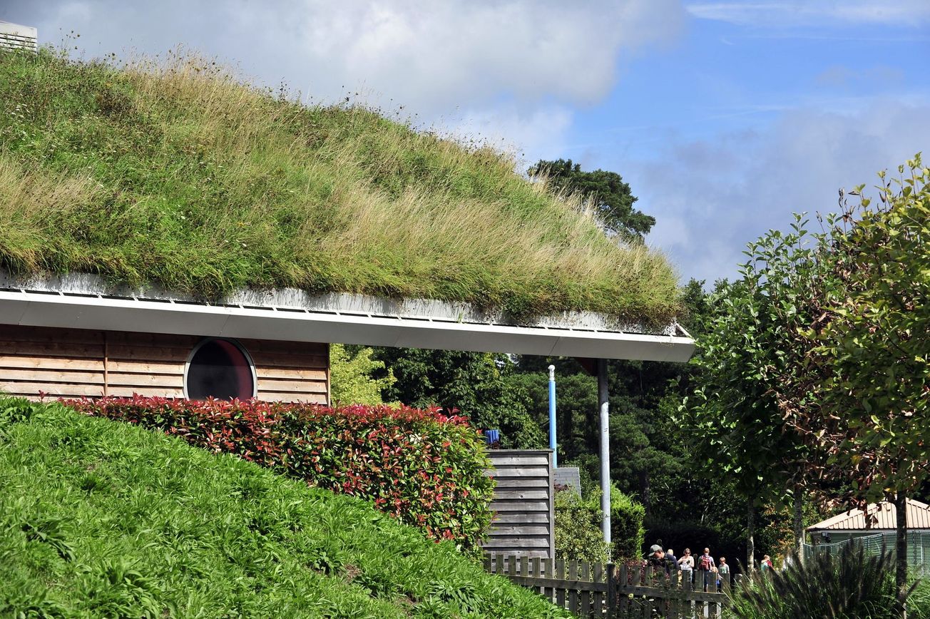 Biophilic Design: Nurturing Our Connection with Nature in the Built Environment