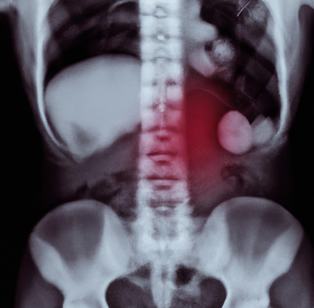 Biocybernetics: The Symphony of Life through Computational Harmonies