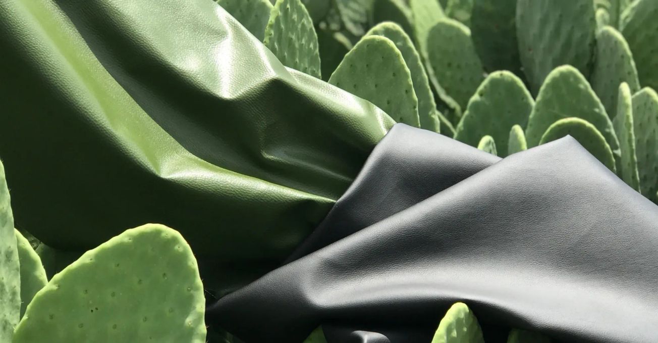 Cactus Leather: A Thorny Path to Sustainability?