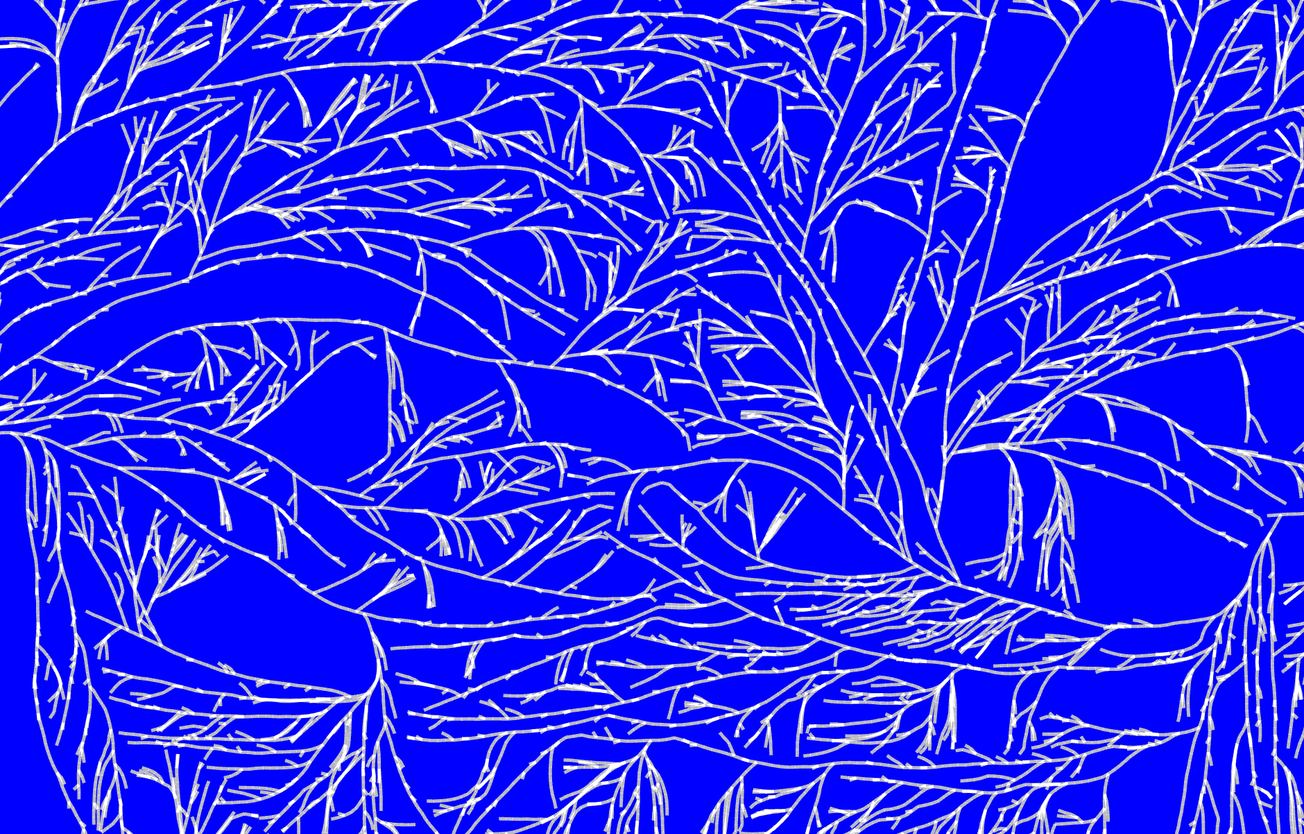 The Hacker’s Guide to Growing Your Own Mycelium Ink