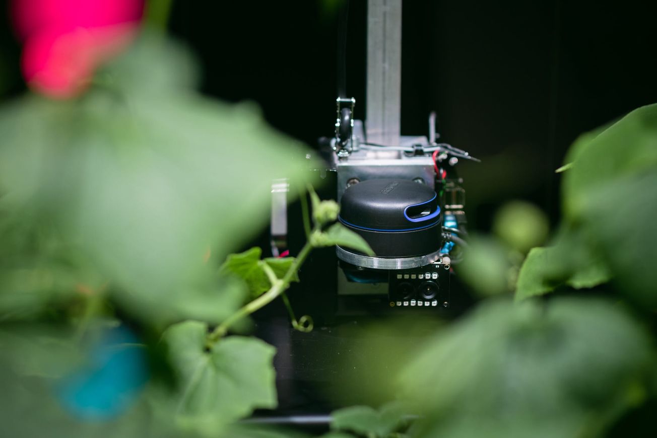 Of Slime and Circuits