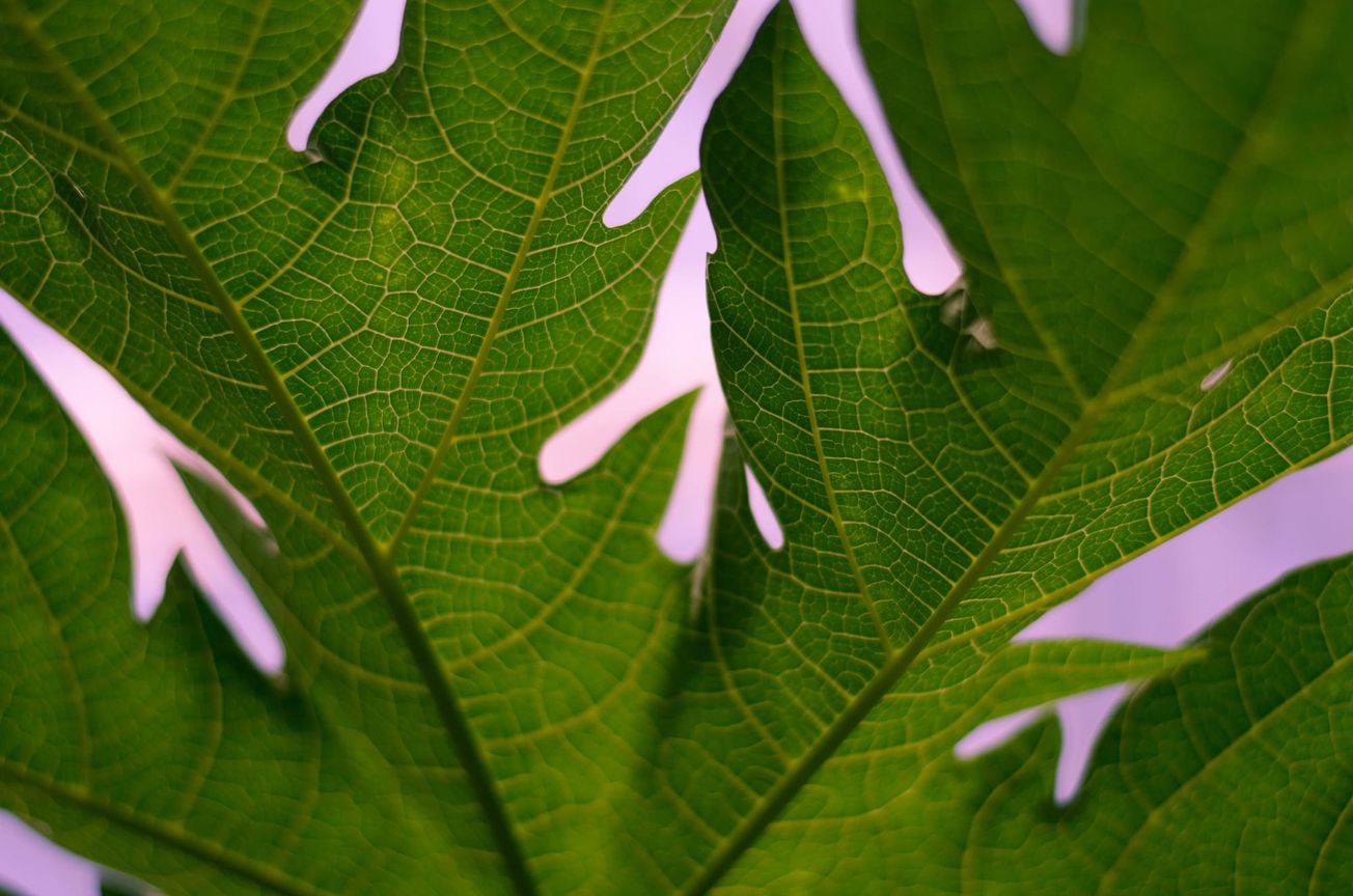 Not Every Future Is Worth Building