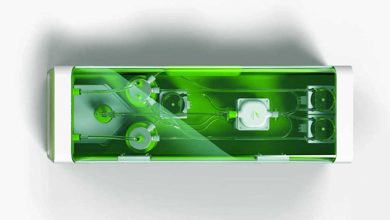 Neural Networks Were a Metaphor