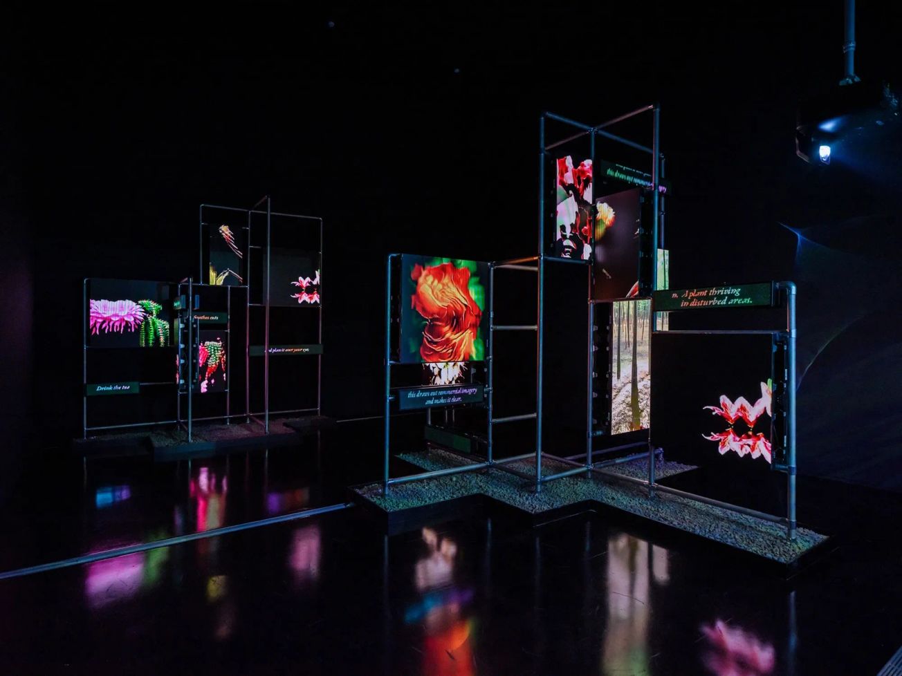 Sea of Data exhibition view at MMCA, Seoul