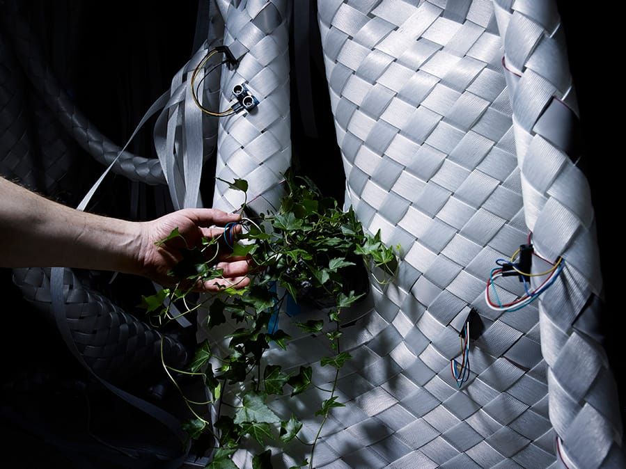 Synthetic Landscapes