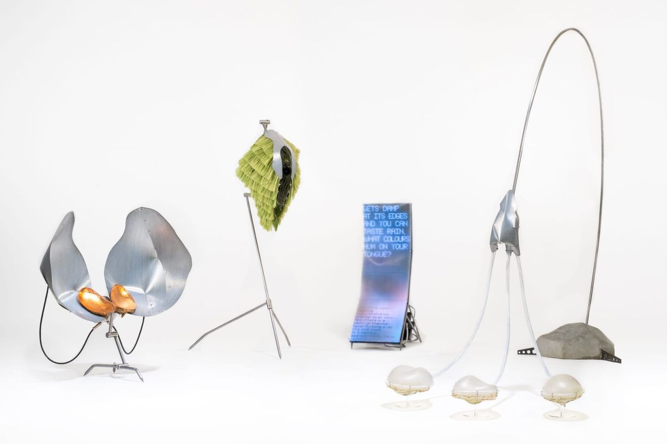 Nobody Told Me Rivers Dream