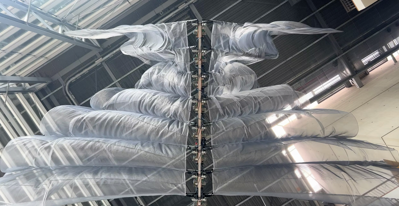 The Bird of a Thousand Voices Installation by Boris Acket