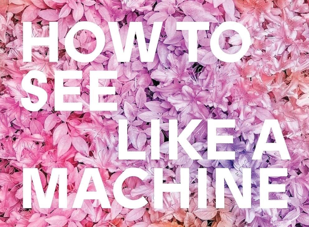 How To See Like a Machine: Images After AI