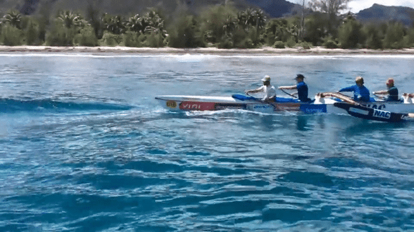 Māori Moon, Tamatea. Find out more about spring