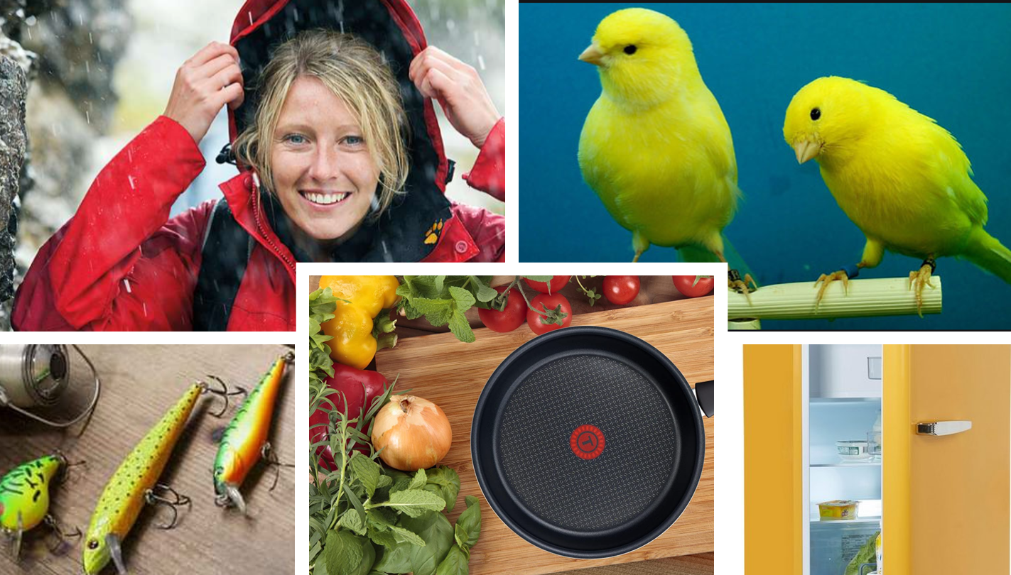 What have these things in common?