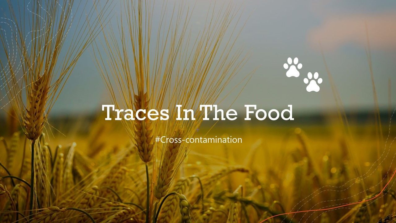 Traces In The Food