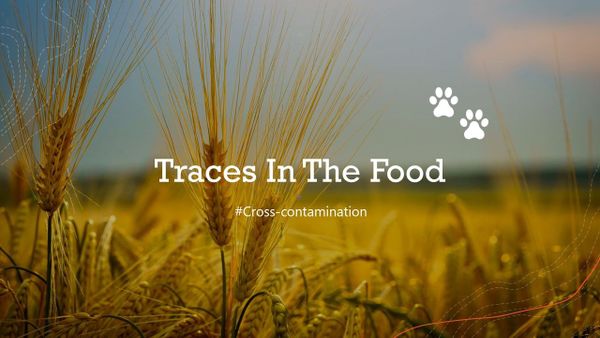 Traces In The Food