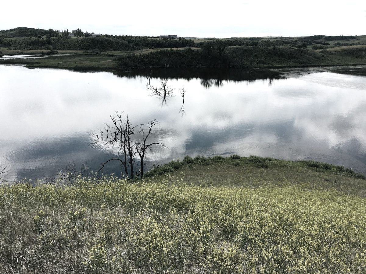 Gratitude: Built on Resilience