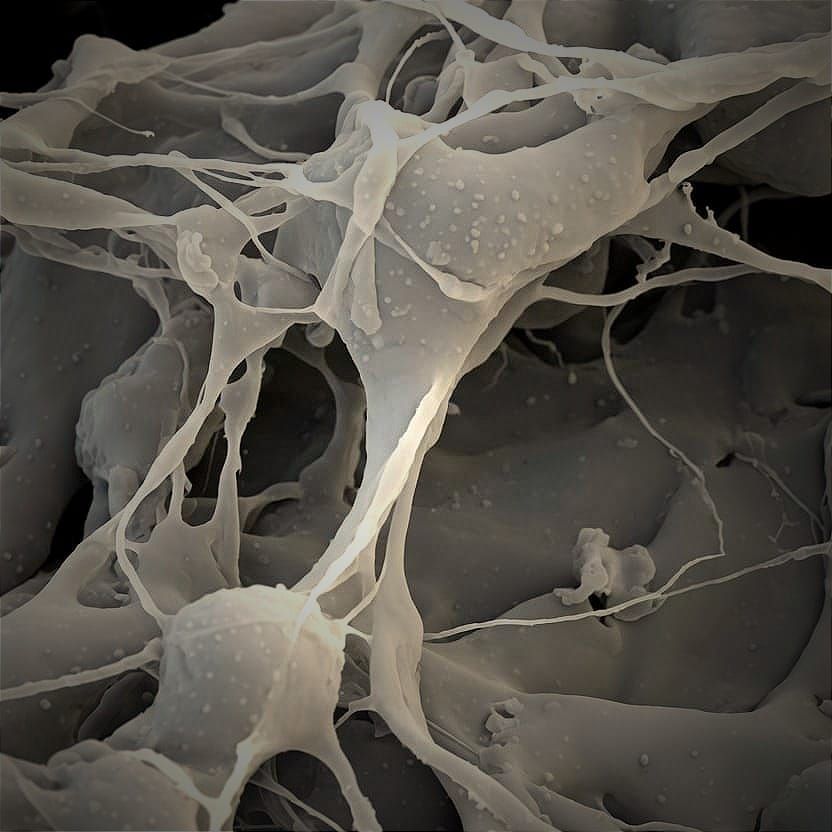 The Peptide Boom