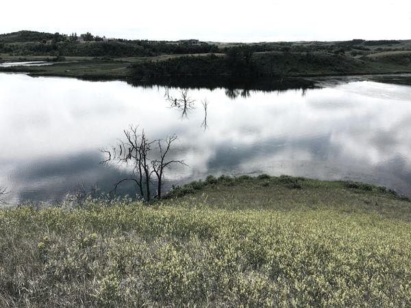 Gratitude: Built on Resilience