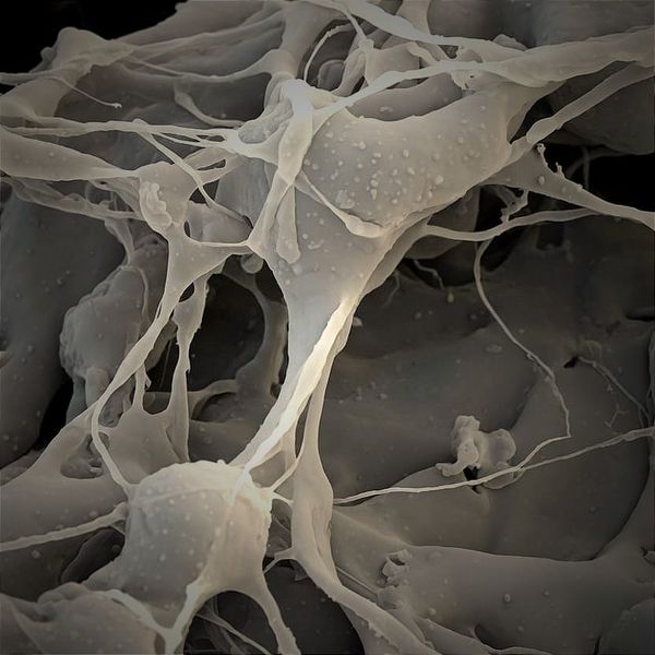 The Peptide Boom