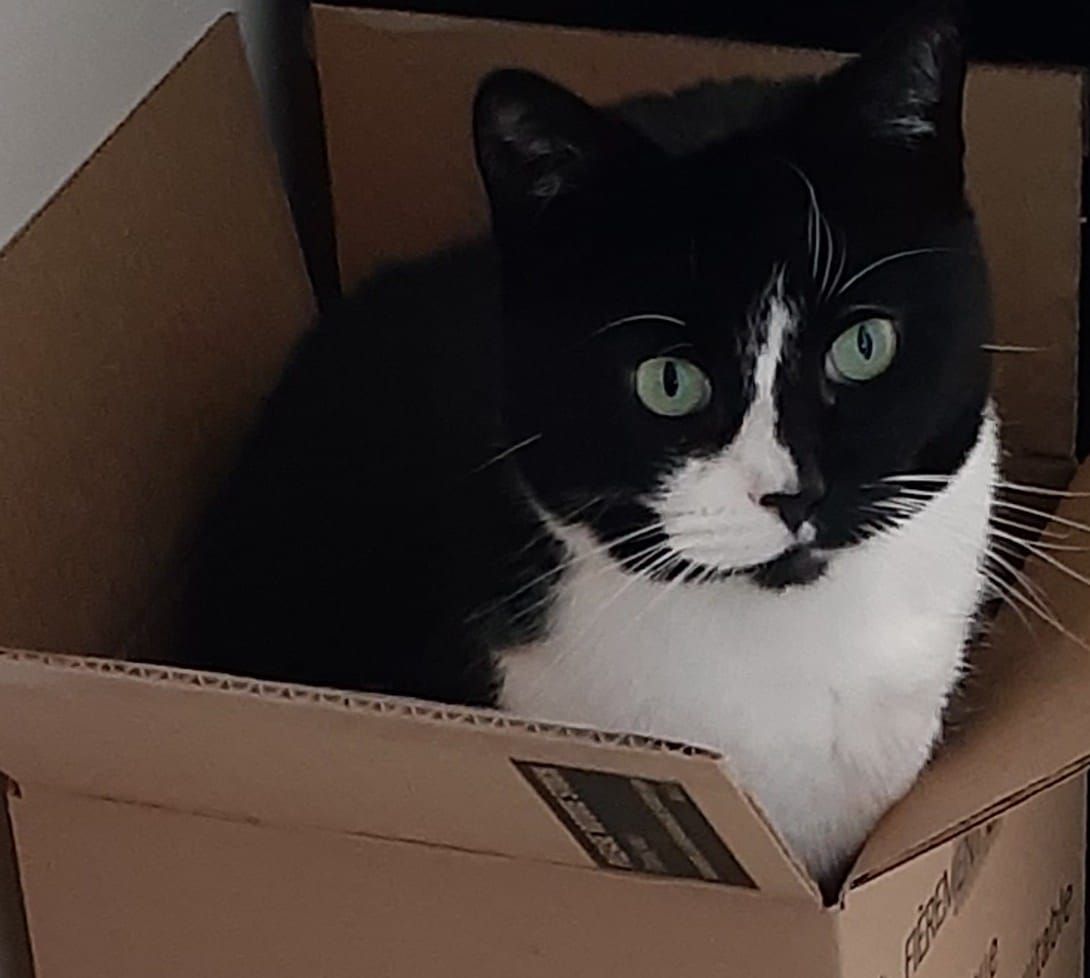 Please Make Mistakes!