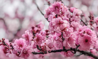 We Can Have Good Things!