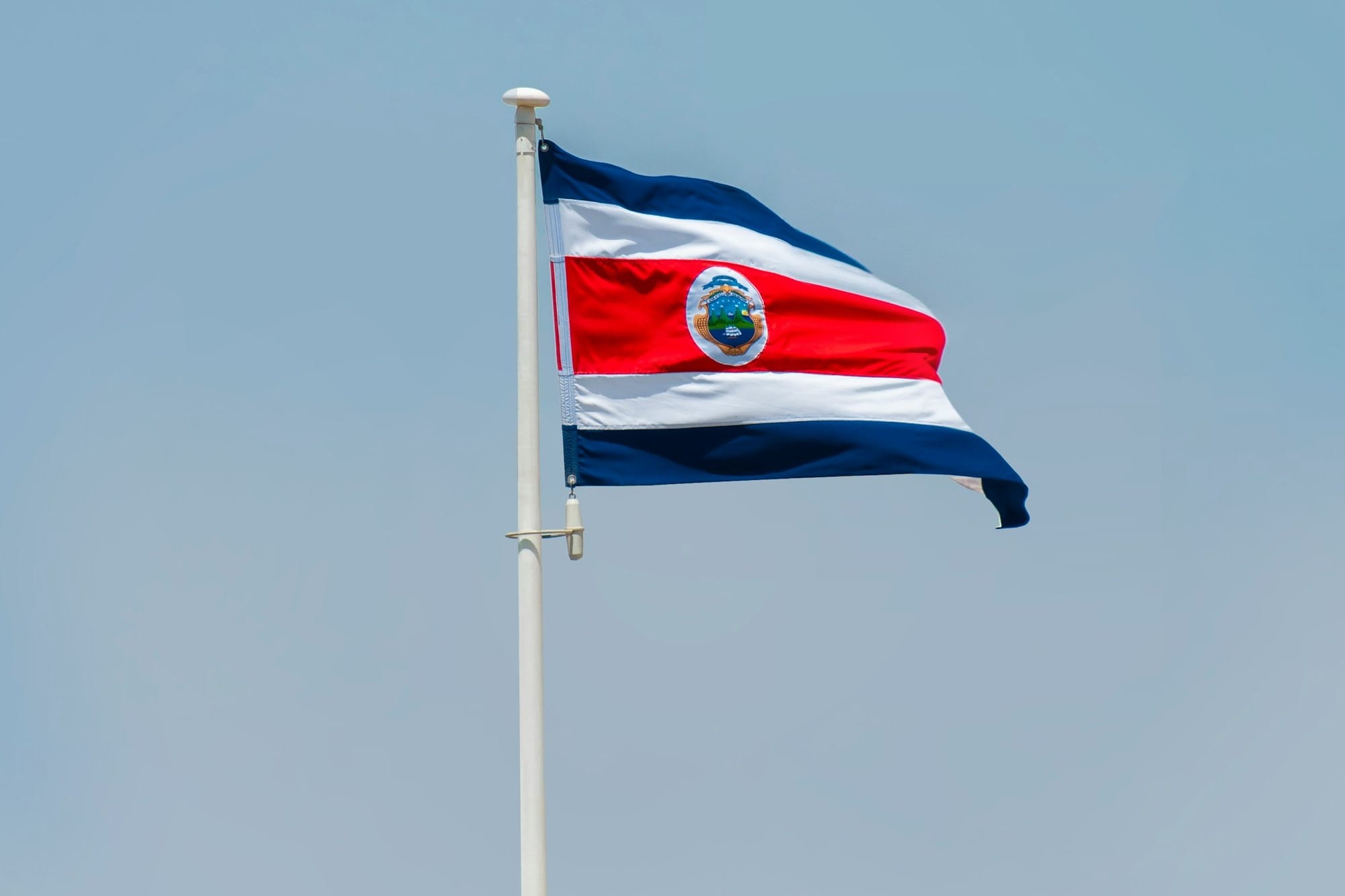 a flag on a flagpole