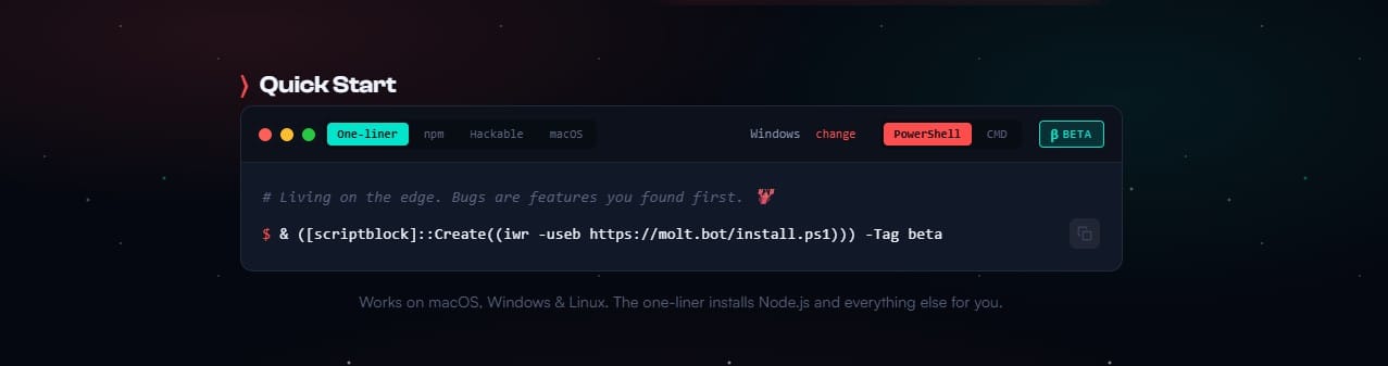 Quick start powershelll how to use moltbot