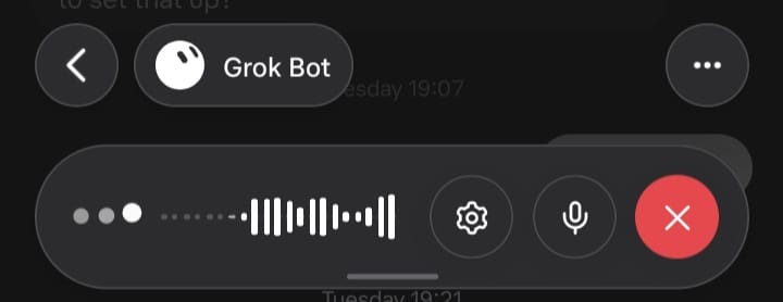 Live voice chat with Grok Bot